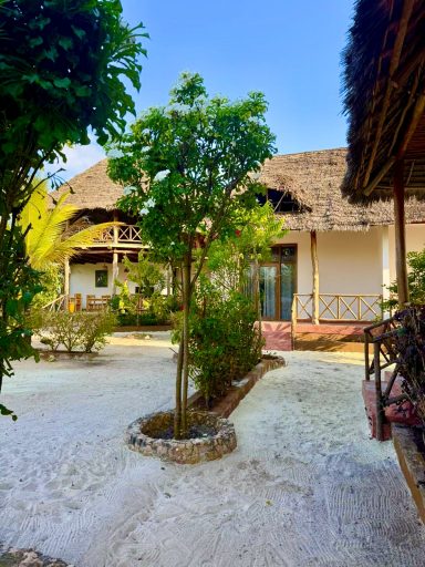 Tropischer Garten mit einem kleinen Baum vor einem traditionellen Haus.