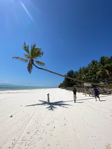 Strand mit Palmen und Schatten, zwei Personen stehen auf dem weißen Sand.
