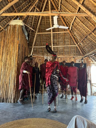 Eine Gruppe von Maasai in traditioneller Kleidung führt einen Tanz in einem Strohdach-Raum auf.