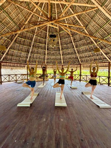 Fünf Personen praktizieren Yoga in einer offenen, strohgedeckten Halle.